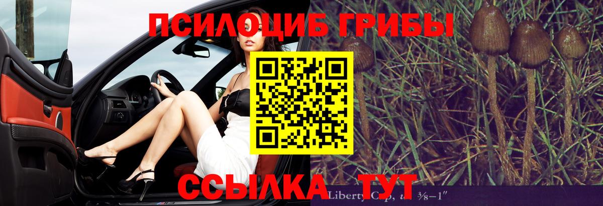 Галлюциногенные грибы Psilocybe Томск